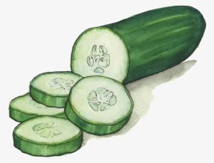 cucumbers - cucumber transparent
