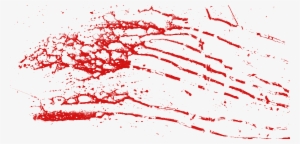 The Bloodied Vagina - Transparent Vector Blood Splatter Png