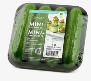 Mini Cucumbers 4ct New - Mini Or Cocktail Cucumber