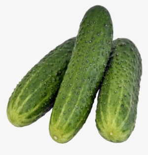 Free Png Cucumber Png Images Transparent - Pickled Cucumber Png