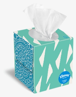 Kleenex® Trusted Care Upright Box 80 Count Eileen - Kleenex Transparent