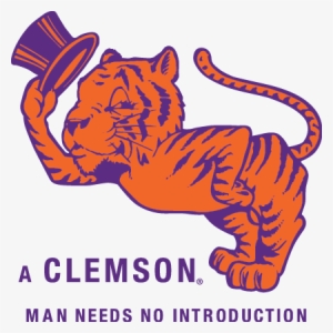 Retro Clemson Tigers - Old School Clemson Tiger