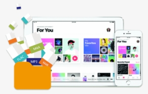 Tunefab Apple Music Converter Review - Apple Music App