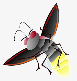 Firefly Png File - Firefly Clipart Png
