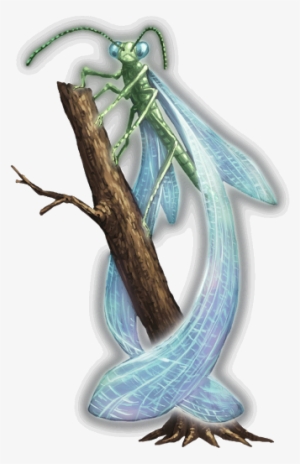 Firefly - Illustration