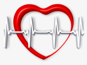 Speed Of Heart Rate Recovery May Help To Predict Mortality - Taquicardia Png