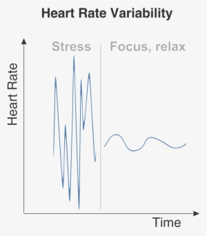Heart Rate Variability Hrv - Calligraphy