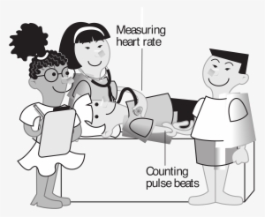 This Free Icons Png Design Of Kids Measuring Heart