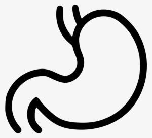 Digestion Stomach Getroenterology Organ Healthcare - Organs Icon Black And White Png