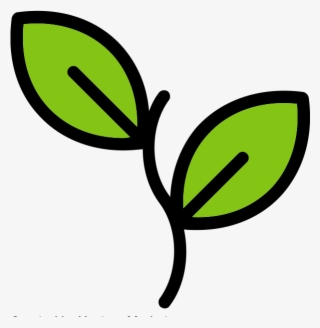 Sapling Level Startups