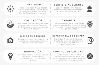 Brand Promise Español