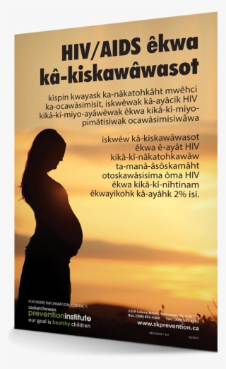 Hiv/aids And Pregnancy Saskatchewan Prevention Institute