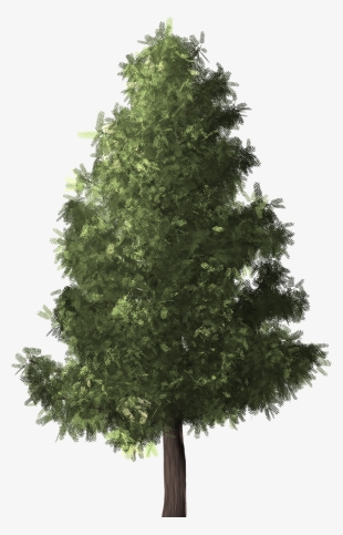 Pino Png