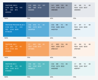 Tints Should Only Be Used In Support Of Primary And