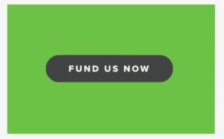Better Without Mercury Fund