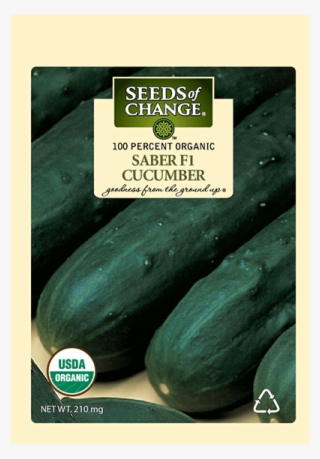 Organic Saber F-1 Slicing Cucumber Seeds