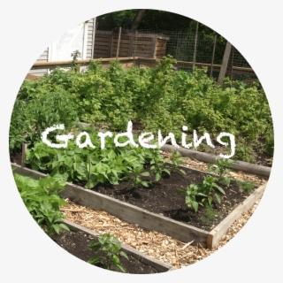 The Homestud Gardening