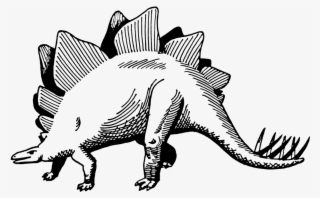 Stegosaurus Png