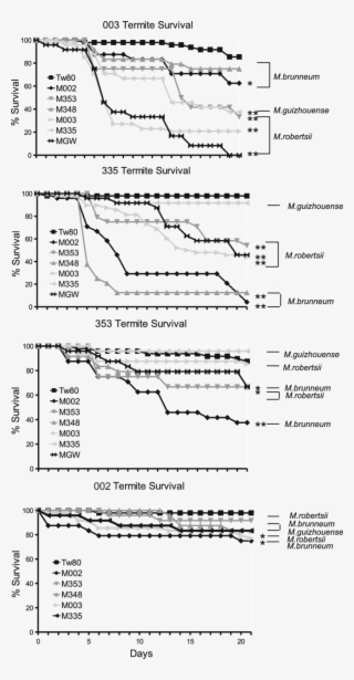Cox Regression Analysis Of Survivorship Of Worker Termites