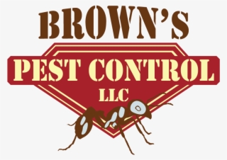 What Is The Best Way To Get Rid Of Roaches