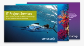 Conosco It Project Services Ebook