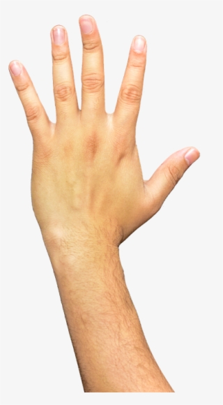 hands, fingers, arm, png