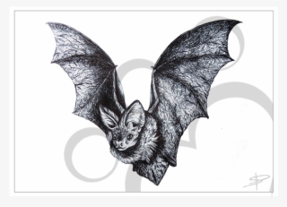 Bat Inkling
