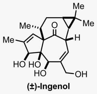 Intermediate Structure