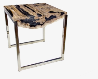 Petrified Log Slice Accent Table