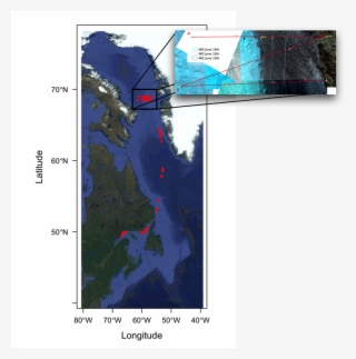 Transect And Sentinel2 Credit