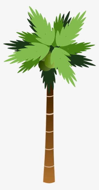 Png Coqueiro