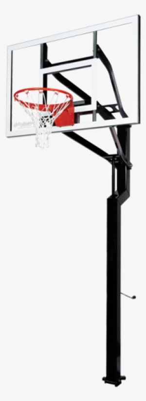 Assets/images/all-star
