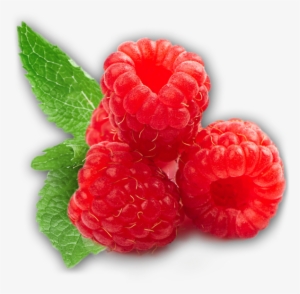 Rraspberry Png Image - Raspberry Png