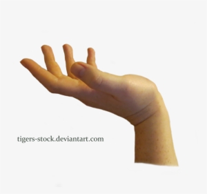 Transparent Hands Male - Hand Png