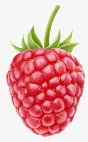 Raspberry High-quality Png - Raspberry Transparent