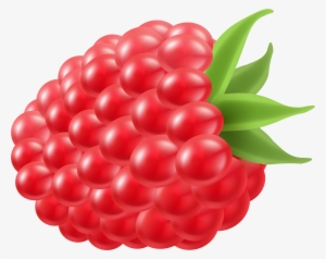 Fruit Clipart Raspberry - Raspberry Clipart Png