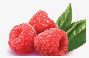 Raspberry Download Png - Snapple Raspberry Iced Tea K-cups 88 Count