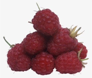Raspberries 2 - Raspberry