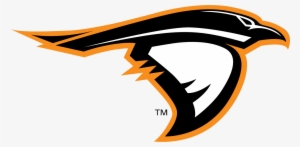 anderson ravens logo