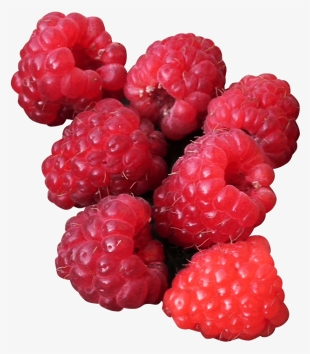 Free Png Raspberry Png Images Transparent