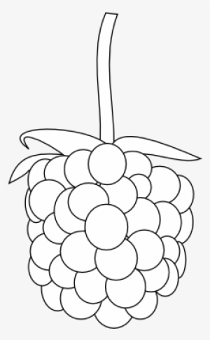 Raspberry Clipart Simple - Clip Art
