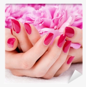 Woman Cupped Hands With Manicure Holding A Pink Flower - Classic Manicure And Pedicure