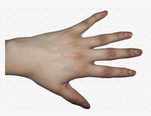 Clipart Hand Human Hand - Back Of Human Hand