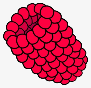 Red, Food, Fruit, Cartoon, Steve, Berry, Raspberry - Raspberry Clip Art