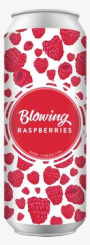 Beer New England Brewing Co Blowing Raspberries - Bottle