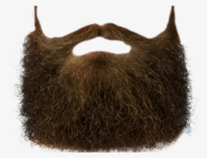 Moustache Png Transparent Images - Beard Clip Art Png