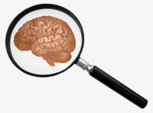 Onlinelabels Clip Art - Brain And Magnifying Glass