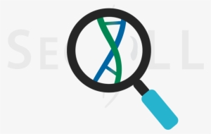 Magnifying Glass Dna Cell Svg Png Icon Free Download - Smoking Ban