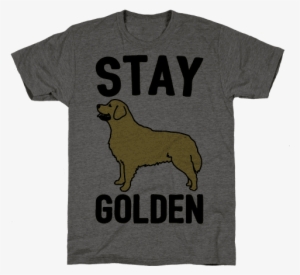 stay golden golden retriever mens t-shirt - human you want the ruth? you can't handle athletic