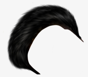Photoshop Hair Png - Professional Background For Editing